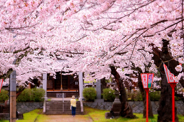 03鶴岡公園護国神社☆DSC03827.JPG