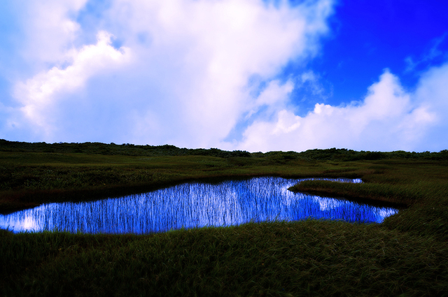 12弥陀池湿原★DSC09815_edited-1.jpg