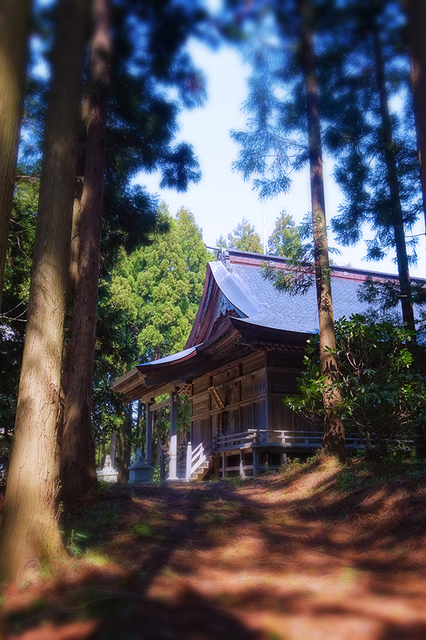 76雷電神社☆DSC04165.JPG